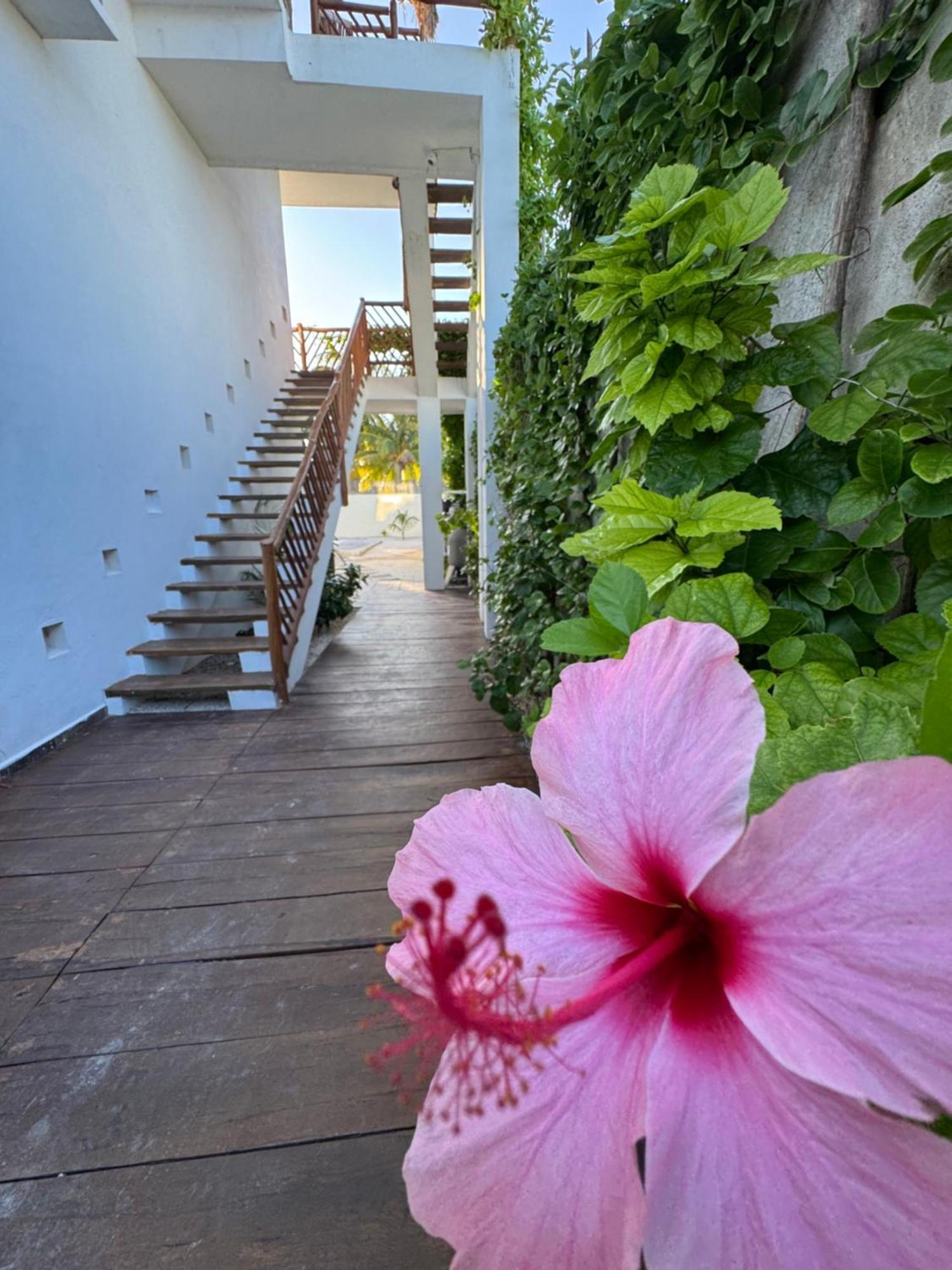 Mexhe Hotel El Cuyo Exterior foto